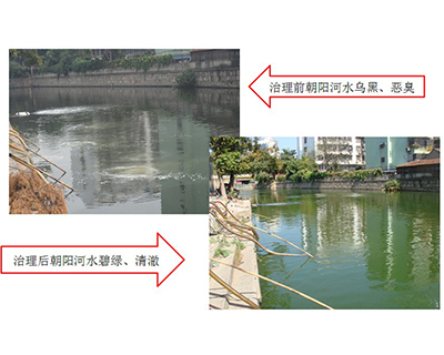 福特全順16座